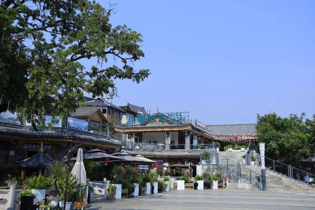 咖啡10杯有7杯是精品！不朽情缘平台云南小城产(图2)