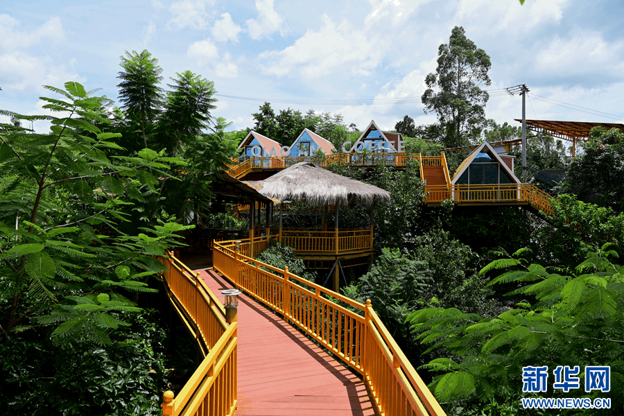 咖啡10杯有7杯是精品！不朽情缘平台云南小城产(图7)