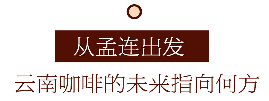 咖啡10杯有7杯是精品！不朽情缘平台云南小城产(图14)