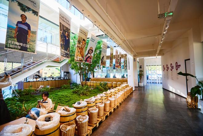 体验咖啡文化深入了解背后的文化故事不朽情缘游戏平台普洱北归咖啡庄园(图4)