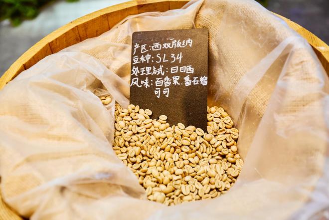 体验咖啡文化深入了解背后的文化故事不朽情缘游戏平台普洱北归咖啡庄园(图6)