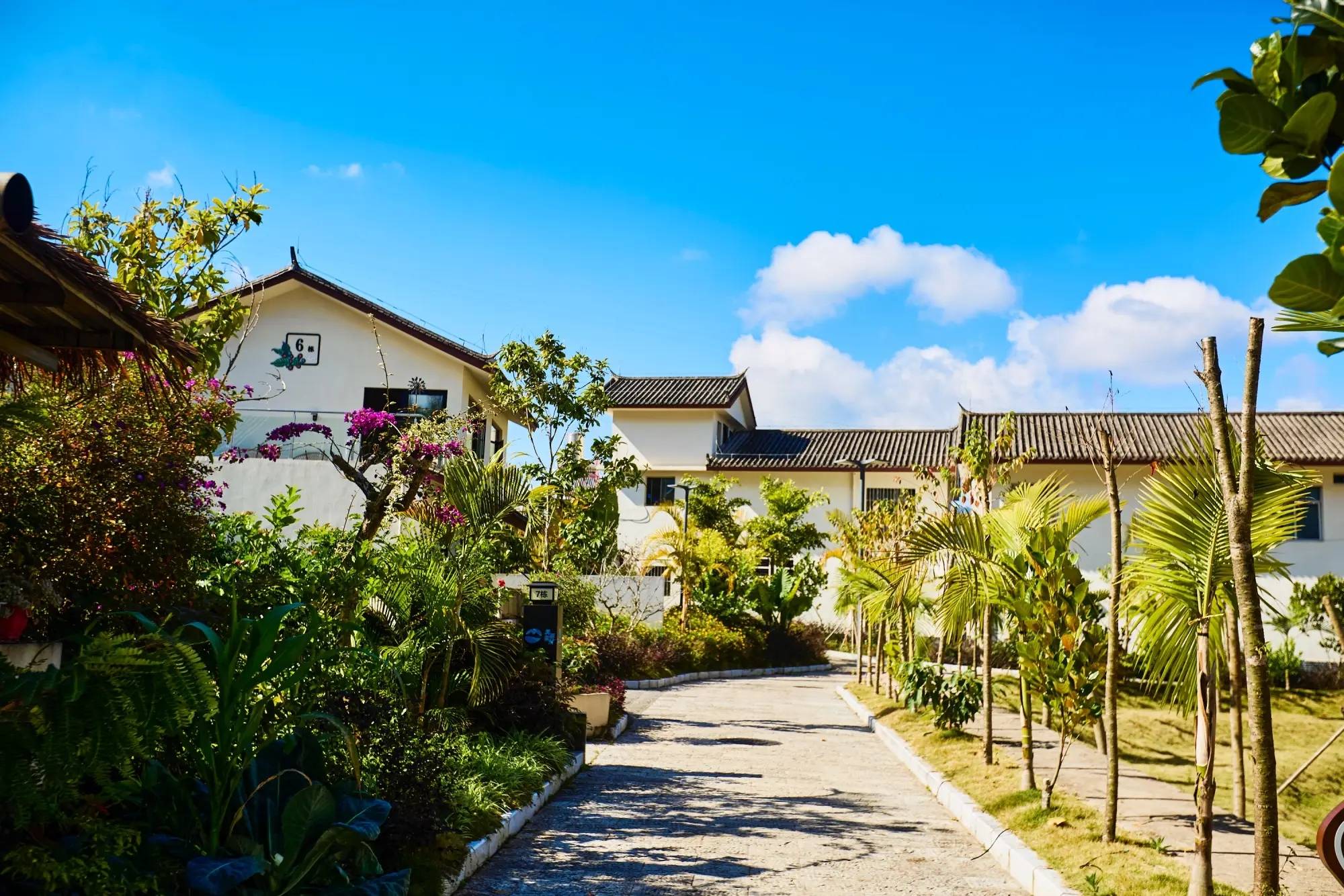 星村云南本土与现代技艺交融的咖啡文化生活不朽情缘平台登录入口普洱思茅南岛河村美丽(图2)