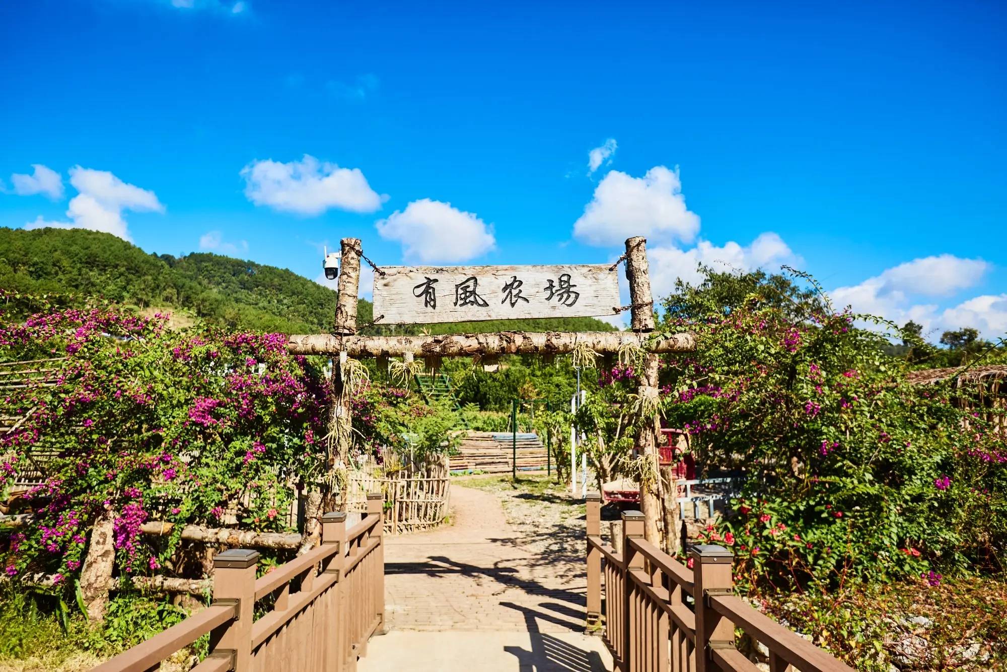 星村云南本土与现代技艺交融的咖啡文化生活不朽情缘平台登录入口普洱思茅南岛河村美丽