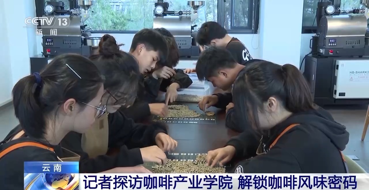 ” 两张产业名片助力云南经济腾飞不朽情缘试玩版“左手咖啡右手茶(图3)