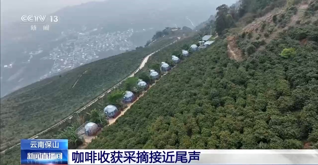 ” 两张产业名片助力云南经济腾飞不朽情缘试玩版“左手咖啡右手茶(图10)
