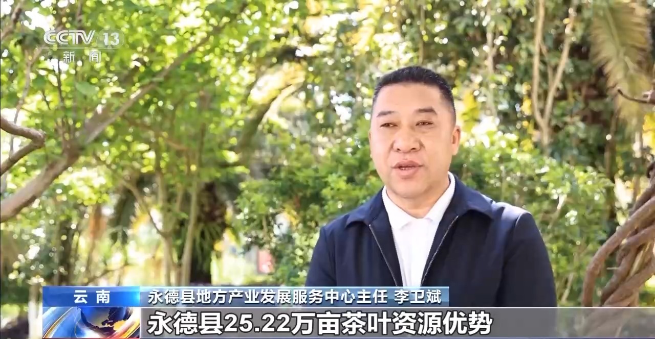 ” 两张产业名片助力云南经济腾飞不朽情缘试玩版“左手咖啡右手茶(图11)