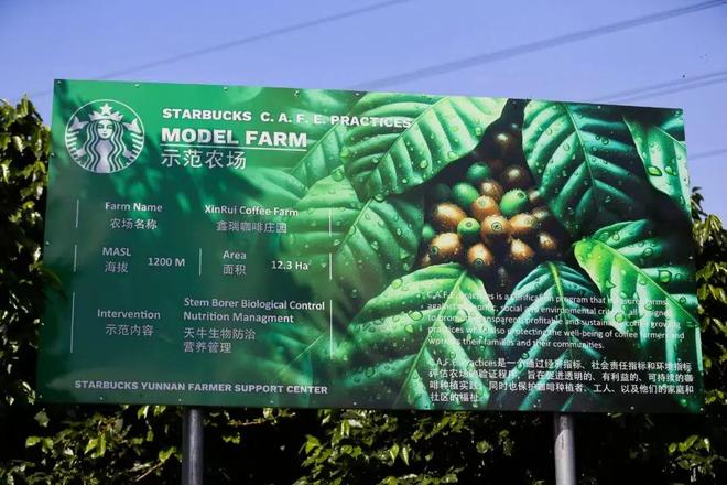 星巴克选择了一条不喧哗的路不朽情缘游戏手机版在中国(图6)